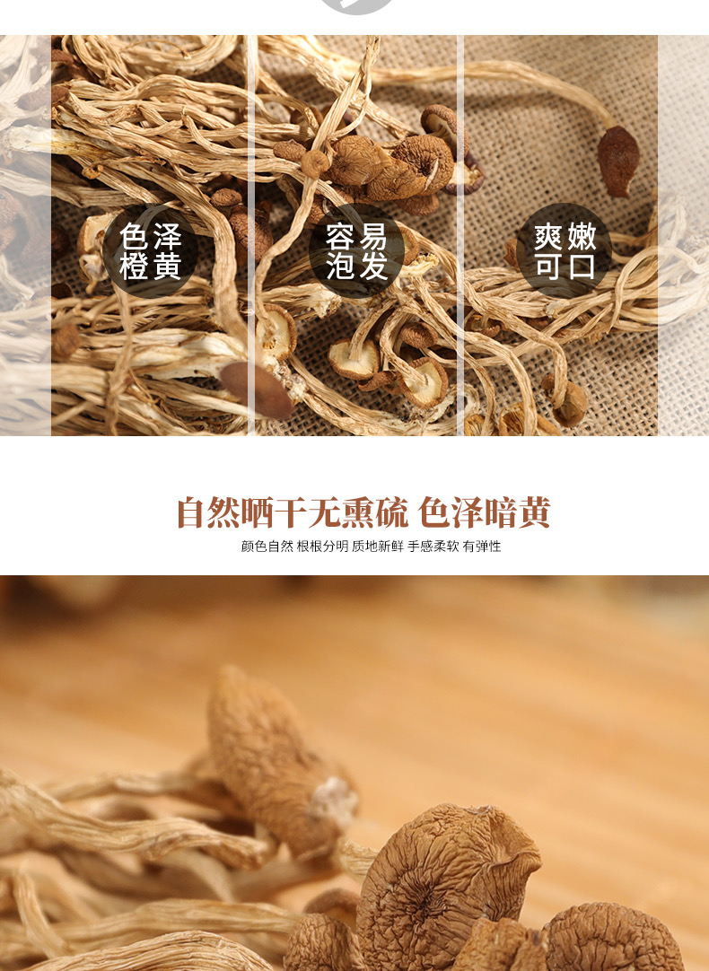 初衷茶樹菇250g(圖2)