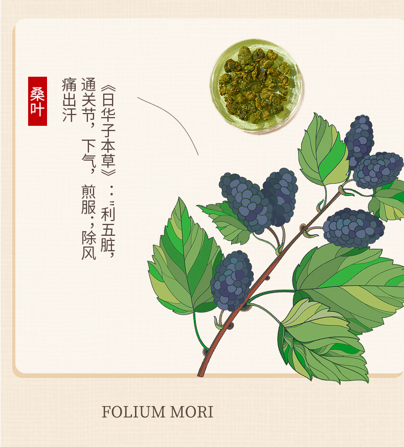 藝福堂玉米須桑葉茶120g(圖5)