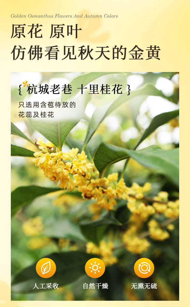 藝福堂桂花烏龍茶45g(圖3)