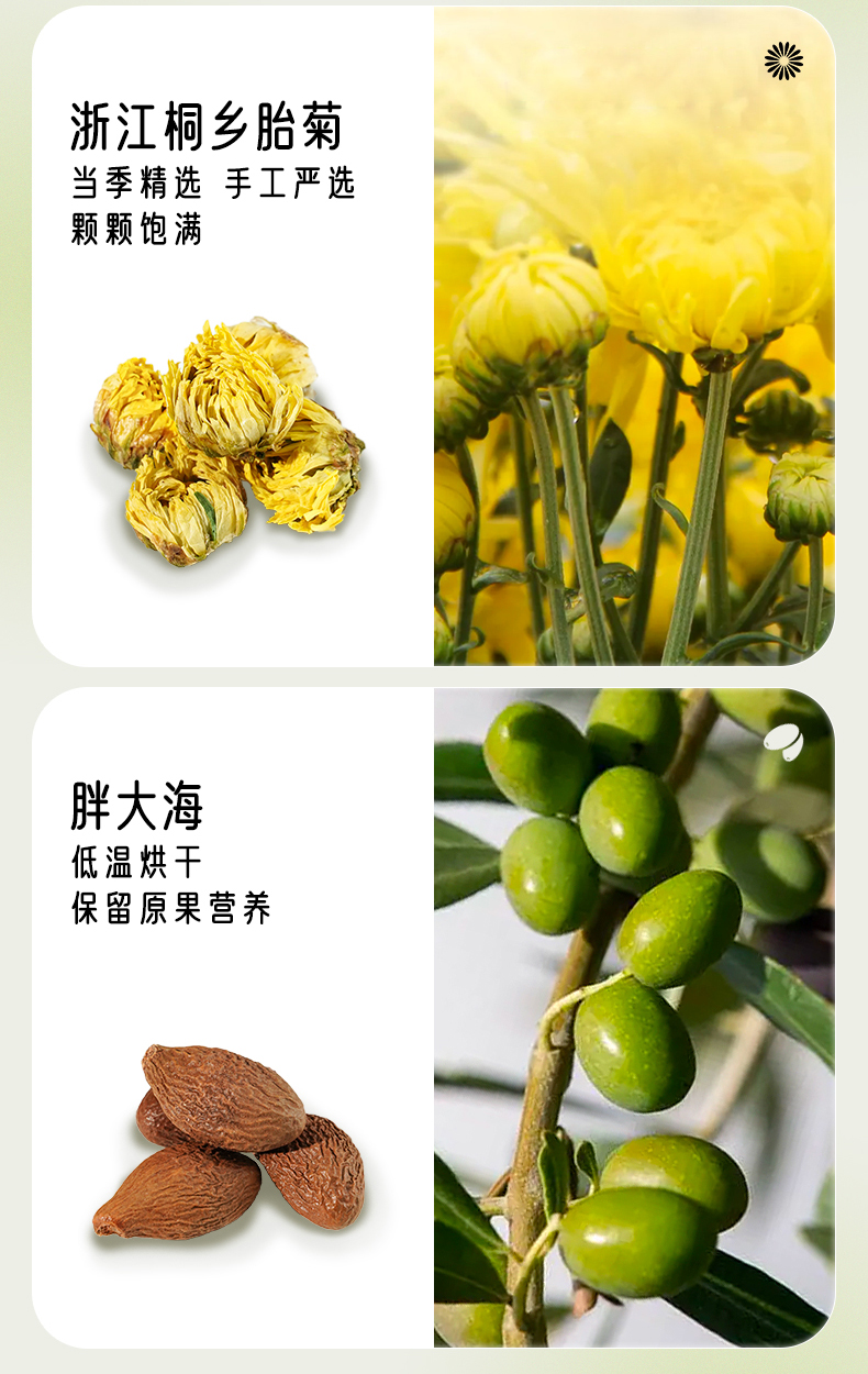 藝福堂羅漢果菊花茶72g(圖6)