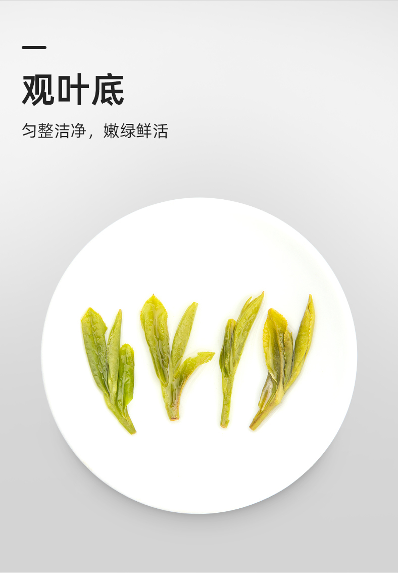 藝福堂口碑龍井茶50g(圖13)